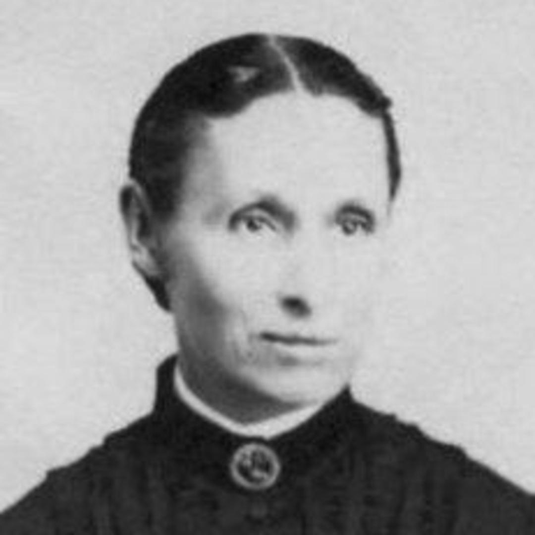 Sarah Sophia Johnson (1820 - 1895) Profile